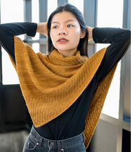 Class & Knit-Along:  Plan, Design & Knit your own Poncho with Laura Scher