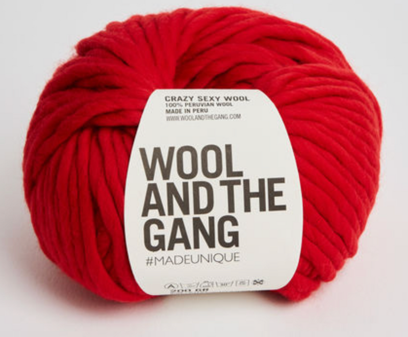 Wool and the Gang Crazy Sexy Wool